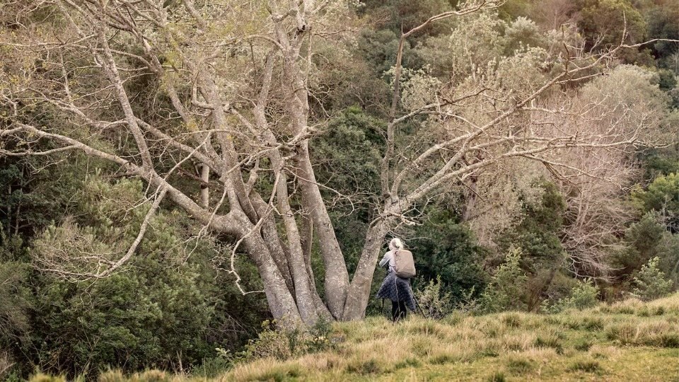 A photographer standing beneath a large tree during the Swellendam retreat